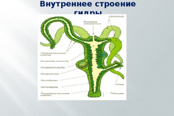 Гидра сайт в тор браузере ссылка