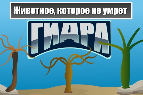 Как вывести деньги с kraken